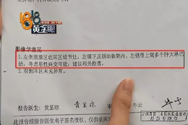 麻江企业清欠服务